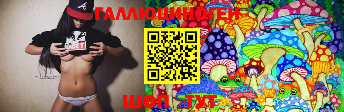 Галлюциногенные грибы Psilocybine cubensis Щёлково